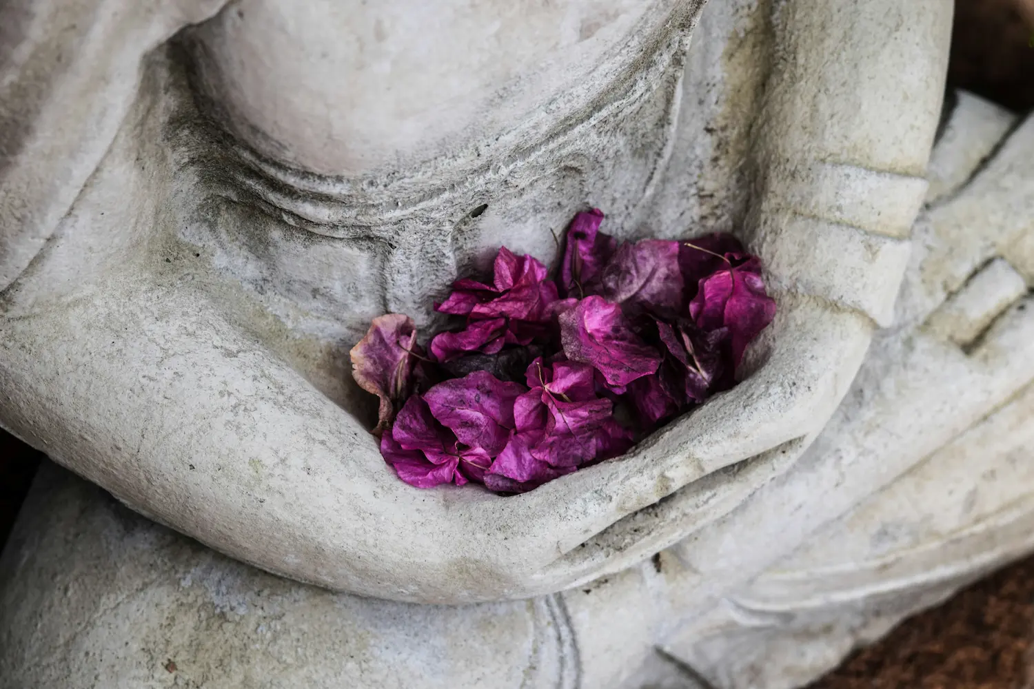 Atelier Nidrâ Yoga – Karuṇā